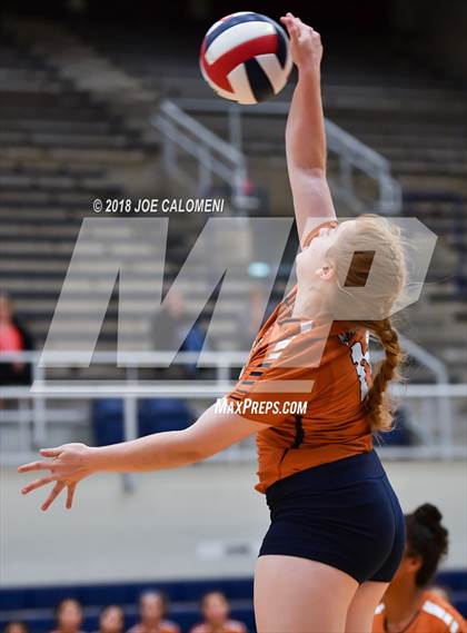 Thumbnail 3 in Madison vs Harlan (NISD Volleyball Tournament) photogallery.