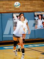 Photo from the gallery "Burbank @ McClatchy"