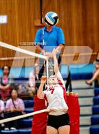 Photo from the gallery "Burbank @ McClatchy"