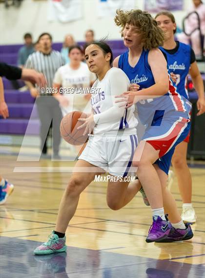 Thumbnail 2 in JV: Tamalpais @ Petaluma photogallery.