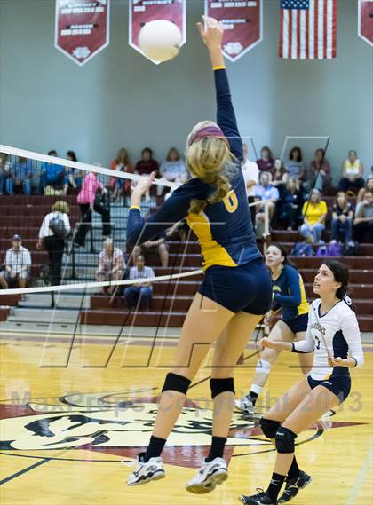 Thumbnail 1 in Steinbrenner @ Wiregrass photogallery.