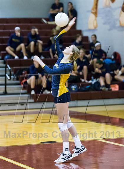 Thumbnail 1 in Steinbrenner @ Wiregrass photogallery.