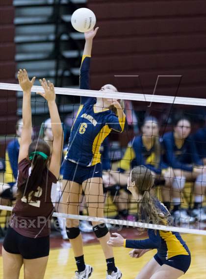 Thumbnail 1 in Steinbrenner @ Wiregrass photogallery.