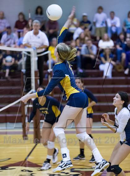 Thumbnail 3 in Steinbrenner @ Wiregrass photogallery.