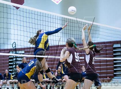 Thumbnail 1 in Steinbrenner @ Wiregrass photogallery.