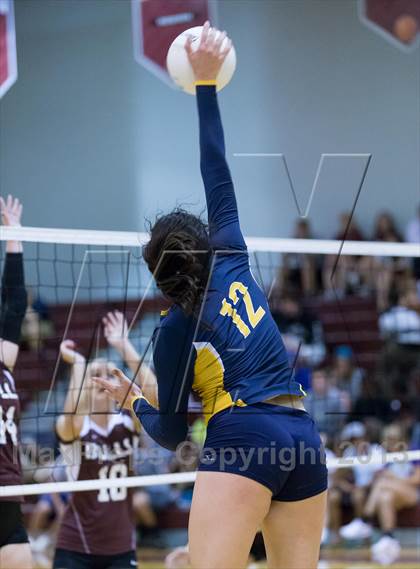 Thumbnail 3 in Steinbrenner @ Wiregrass photogallery.