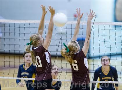 Thumbnail 1 in Steinbrenner @ Wiregrass photogallery.