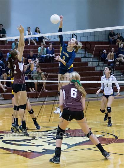 Thumbnail 2 in Steinbrenner @ Wiregrass photogallery.