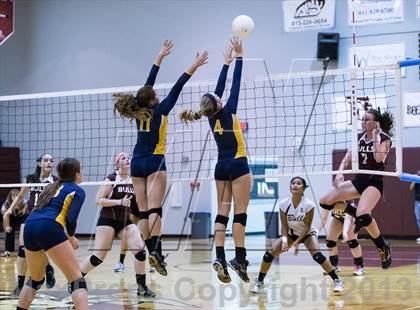 Thumbnail 3 in Steinbrenner @ Wiregrass photogallery.