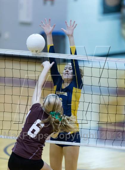 Thumbnail 1 in Steinbrenner @ Wiregrass photogallery.