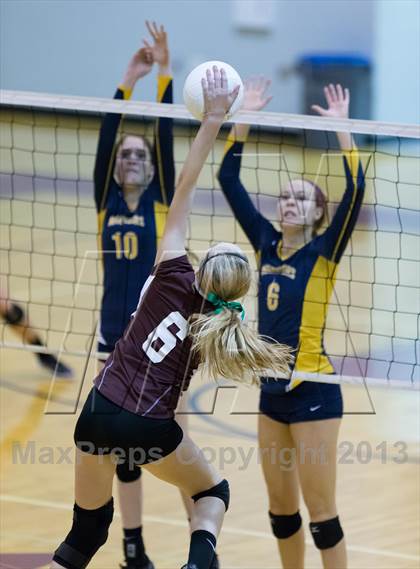 Thumbnail 1 in Steinbrenner @ Wiregrass photogallery.