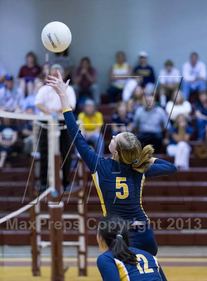 Thumbnail 1 in Steinbrenner @ Wiregrass photogallery.