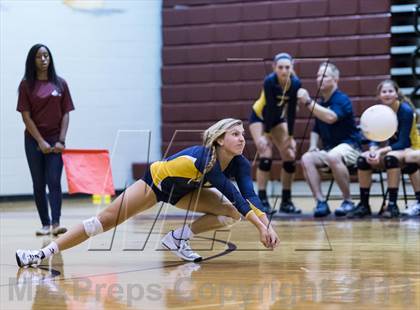 Thumbnail 1 in Steinbrenner @ Wiregrass photogallery.
