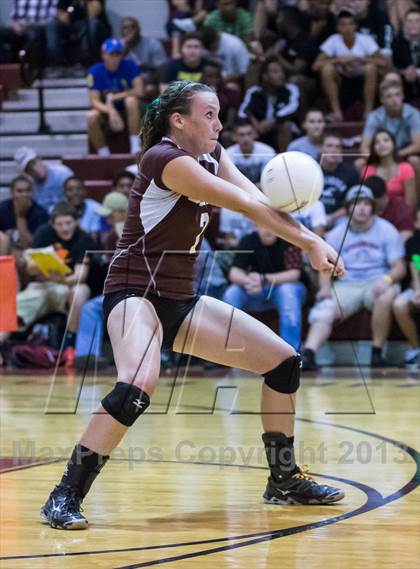 Thumbnail 1 in Steinbrenner @ Wiregrass photogallery.
