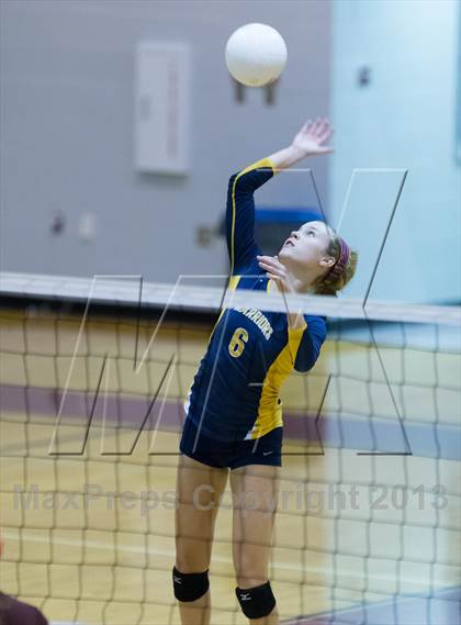 Thumbnail 2 in Steinbrenner @ Wiregrass photogallery.
