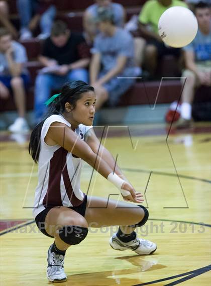 Thumbnail 3 in Steinbrenner @ Wiregrass photogallery.