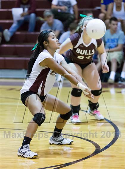 Thumbnail 2 in Steinbrenner @ Wiregrass photogallery.