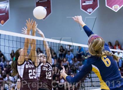 Thumbnail 3 in Steinbrenner @ Wiregrass photogallery.