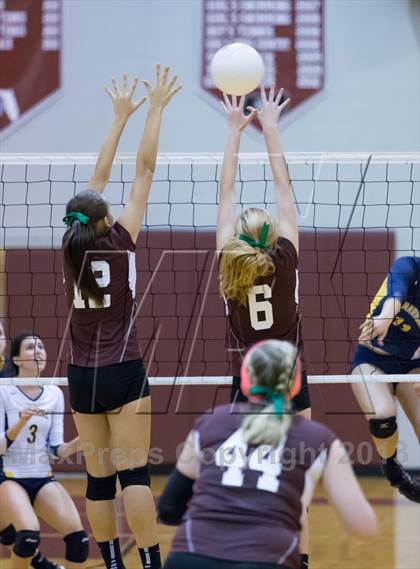 Thumbnail 2 in Steinbrenner @ Wiregrass photogallery.