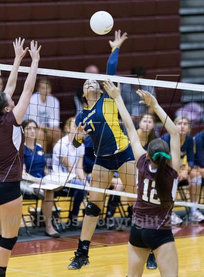 Thumbnail 2 in Steinbrenner @ Wiregrass photogallery.