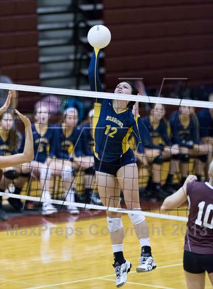 Thumbnail 3 in Steinbrenner @ Wiregrass photogallery.