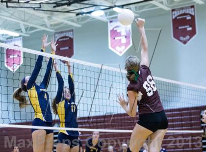 Thumbnail 3 in Steinbrenner @ Wiregrass photogallery.