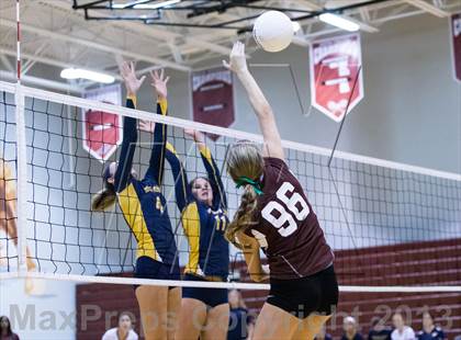 Thumbnail 2 in Steinbrenner @ Wiregrass photogallery.