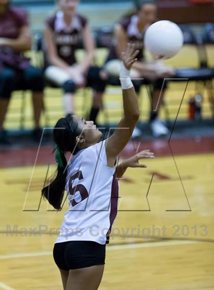 Thumbnail 2 in Steinbrenner @ Wiregrass photogallery.