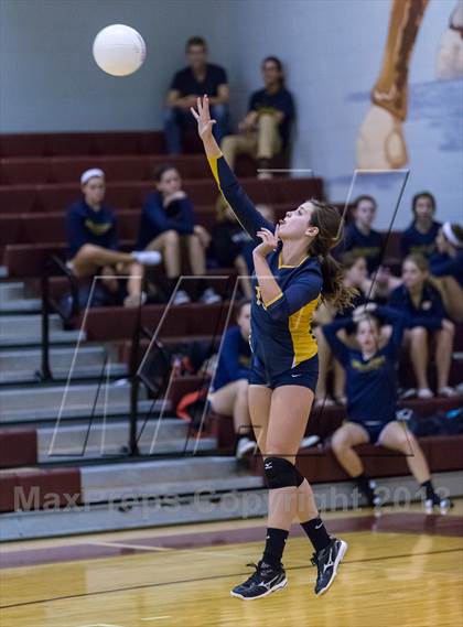 Thumbnail 1 in Steinbrenner @ Wiregrass photogallery.