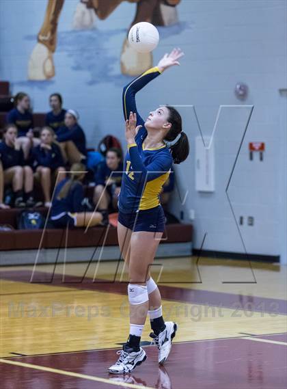 Thumbnail 3 in Steinbrenner @ Wiregrass photogallery.