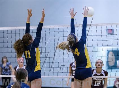 Thumbnail 2 in Steinbrenner @ Wiregrass photogallery.
