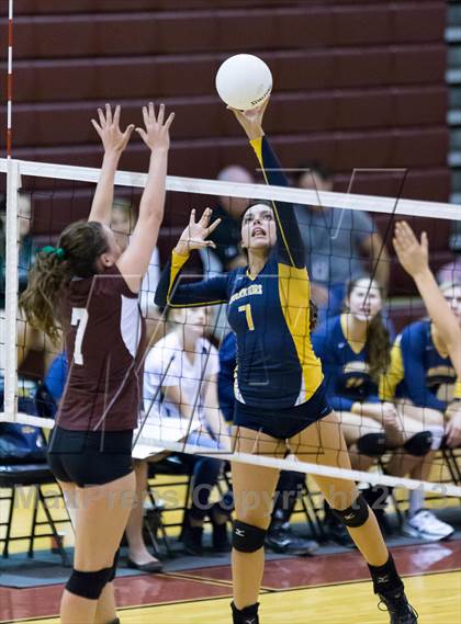 Thumbnail 1 in Steinbrenner @ Wiregrass photogallery.