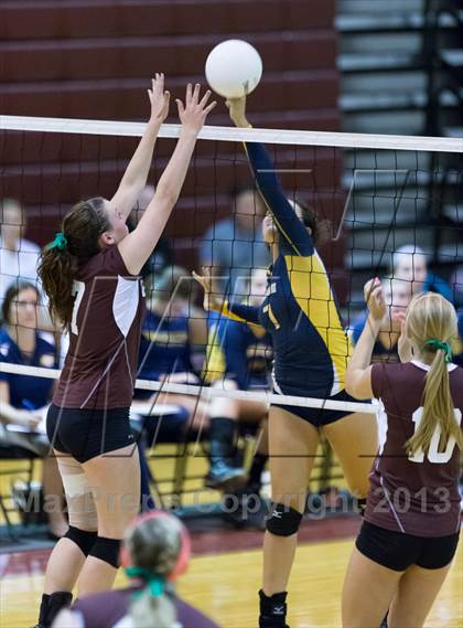 Thumbnail 3 in Steinbrenner @ Wiregrass photogallery.