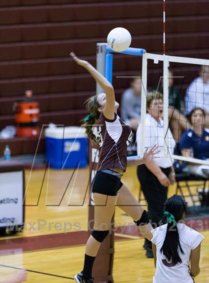 Thumbnail 3 in Steinbrenner @ Wiregrass photogallery.
