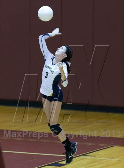 Thumbnail 1 in Steinbrenner @ Wiregrass photogallery.