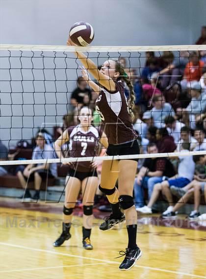 Thumbnail 1 in Steinbrenner @ Wiregrass photogallery.