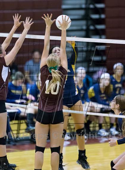 Thumbnail 2 in Steinbrenner @ Wiregrass photogallery.