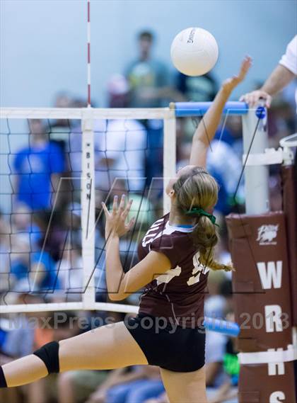 Thumbnail 3 in Steinbrenner @ Wiregrass photogallery.