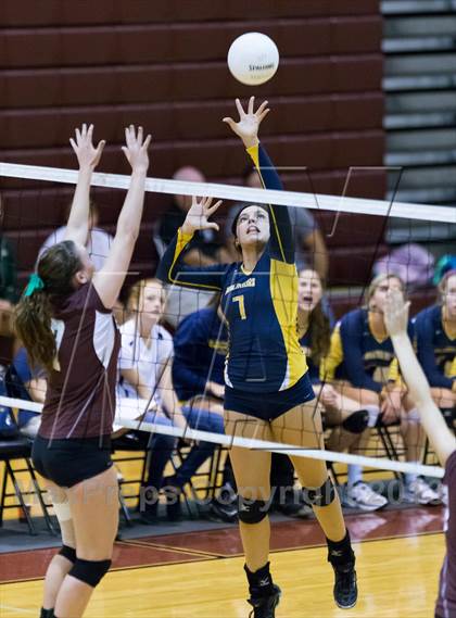 Thumbnail 3 in Steinbrenner @ Wiregrass photogallery.