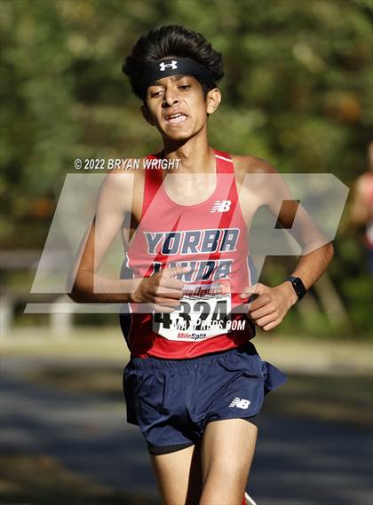 Thumbnail 1 in League Finals (Yorba Regional Park) photogallery.