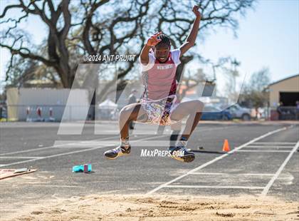 Thumbnail 1 in Santa Rosa Field Jamboree photogallery.
