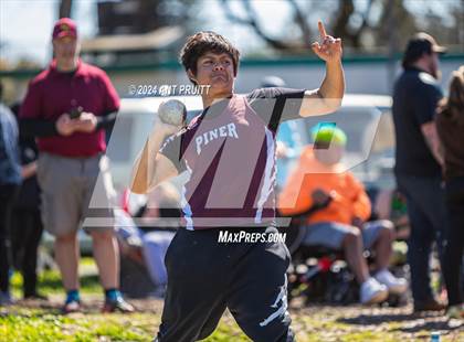 Thumbnail 1 in Santa Rosa Field Jamboree photogallery.