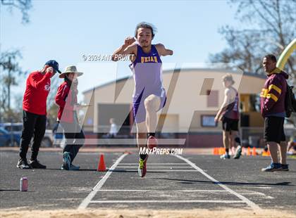 Thumbnail 3 in Santa Rosa Field Jamboree photogallery.