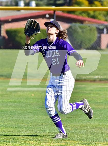 Thumbnail 3 in Sequoia @ Westmont photogallery.