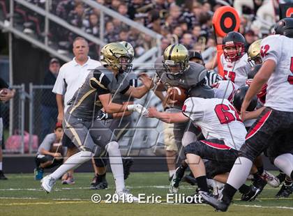 Thumbnail 3 in Franklin @ Grove City photogallery.