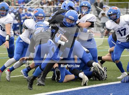 Thumbnail 2 in Williamsville South @ Kenmore West photogallery.