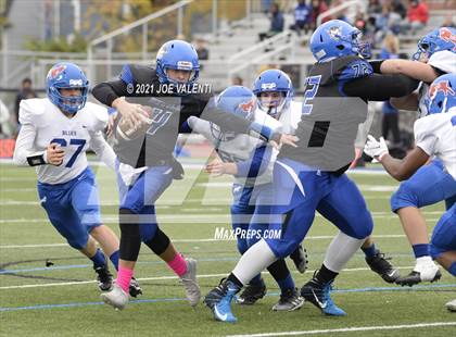 Thumbnail 3 in Williamsville South @ Kenmore West photogallery.