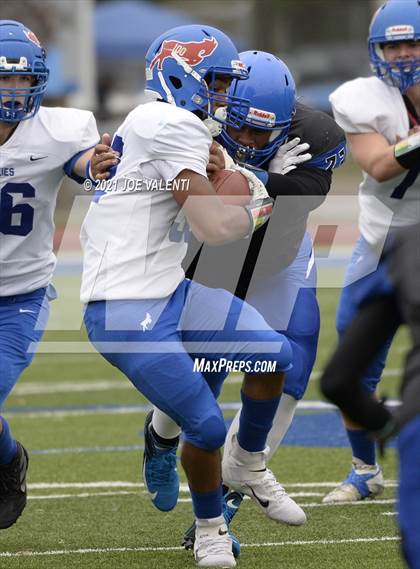 Thumbnail 1 in Williamsville South @ Kenmore West photogallery.