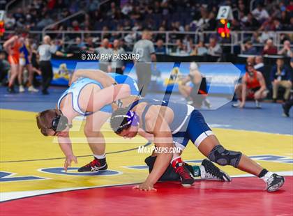 Thumbnail 1 in NYSPHSAA Wrestling Championships -Quarter Finals 131 lbs - 285 lbs photogallery.