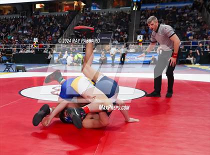 Thumbnail 2 in NYSPHSAA Wrestling Championships -Quarter Finals 131 lbs - 285 lbs photogallery.